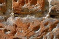 Old brick wall shown up close Royalty Free Stock Photo