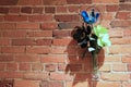 Old brick wall and simple flower vase