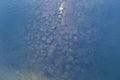 Old brick wall under water