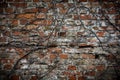 Old brick wall with withered plants