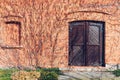 An old brick wall and wooden closed door surrounded by leafless Royalty Free Stock Photo