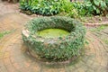 Old brick water well with green creeper in the garden Royalty Free Stock Photo