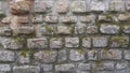 Old bricks texture, website background Royalty Free Stock Photo