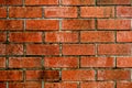 Old bricks wall Royalty Free Stock Photo