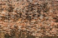 Old bricks wall