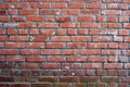 Old brickwall-3 Royalty Free Stock Photo