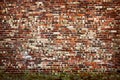 Old brickwall Royalty Free Stock Photo