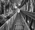 Old bridge across Mekong River, Luang Prabang,Laos