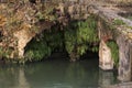 Old bridge in Alcala de Guadaira with maidenhair ferns underneath