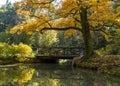 Old bridge in autumn park .Autumn . Royalty Free Stock Photo