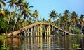 Bridge on backwaters, Kerala, India Royalty Free Stock Photo