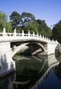 Old bridge in Chinese garden Royalty Free Stock Photo