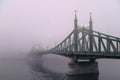 Old bridge in the fog. Mystical vision.