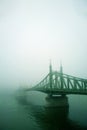 Old bridge in the fog. Mystical vision.