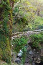 Old bridge in Greece