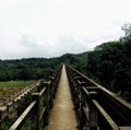 Old Bridge in India