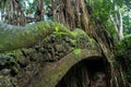 Old bridge and jungle at the Sacred Monkey Forest Sanctuary, Ubud, Bali Royalty Free Stock Photo