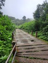 Old bridge in the midle of forest in Pangrango mountain Royalty Free Stock Photo