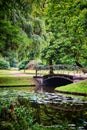 Old bridge over the canal in the mystical forest. As in fairy tales Royalty Free Stock Photo