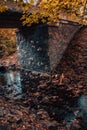 The old bridge over the river of the autumn forest. Forest river stream landscape. Royalty Free Stock Photo