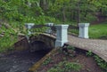 Old bridge over small stream in the forest Royalty Free Stock Photo