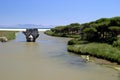 Old bridge on river leading to the sea in sunny Spain Royalty Free Stock Photo