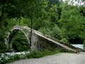 Old bridge ruins ancient green landscape tree view stone bridge