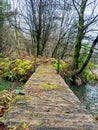 Old bridge wooden mossy quirky quiet