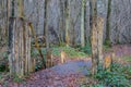 Old bridge with wooden poles over a stream leading to what was a farmyard in the late Middle Ages Royalty Free Stock Photo