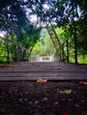 Old bridge with a wooden walkway in perspective. Royalty Free Stock Photo