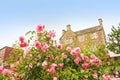 Old, British house with window and climbing roses Royalty Free Stock Photo