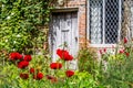 Old British poppy garden Royalty Free Stock Photo