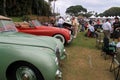 Old british sports cars in lineup