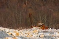 Old broken abandoned rusty excavator in a quarry