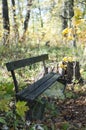 Old broken bench in the autumn park.