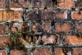 Old broken brick crumbling fence, covered with moss Abstract red brick old background texture of wall. Ruins of uneven crumbling r Royalty Free Stock Photo