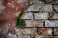 Old broken brick wall made of plaster. Old broken brick wall with cracked plaster Royalty Free Stock Photo