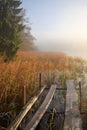 Old broken bridge .Misty foggy morning in autumn.