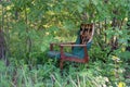 Old broken chair stands alone in a thicket of green forest