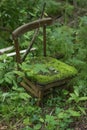 An old broken chair stands alone in a thicket of green forest. Royalty Free Stock Photo