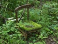 An old broken chair stands alone in a thicket of green forest