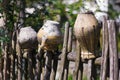 Old broken clay pots and jugs hanging on wooden hedge or wicker fence. Ukrainian ethnic crockery, traditional culture of Ukraine Royalty Free Stock Photo