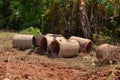 Old broken concrete cement pipe in grass, Royalty Free Stock Photo