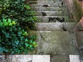 Old broken concrete steps. The stairs are overgrown with green grass Royalty Free Stock Photo