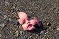 Old broken doll face on ground Royalty Free Stock Photo