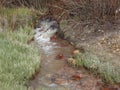 Old Broken Down Mine water source in Leadville CO