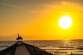 Old broken down pier with a golden sunset background Royalty Free Stock Photo