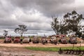 Old broken down trucks Royalty Free Stock Photo