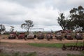 Old broken down trucks Royalty Free Stock Photo