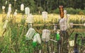 Old broken garden fence with plastic bottles Royalty Free Stock Photo